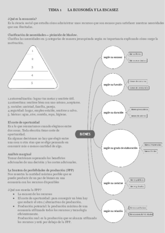 TEMA-1-LA-ECONOMIA-Y-LA-ESCASEZ.pdf