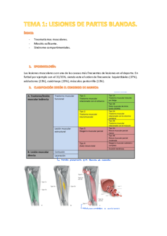 TEMA-1.pdf