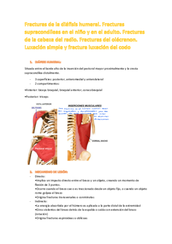 TEMA-5.pdf