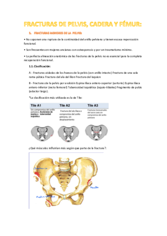 TEMA-10.pdf