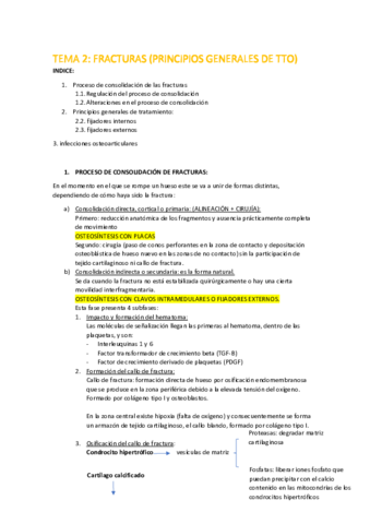 TEMA-2.pdf