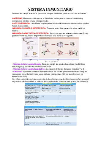 Copia-de-Anatomia-1-1-6.pdf