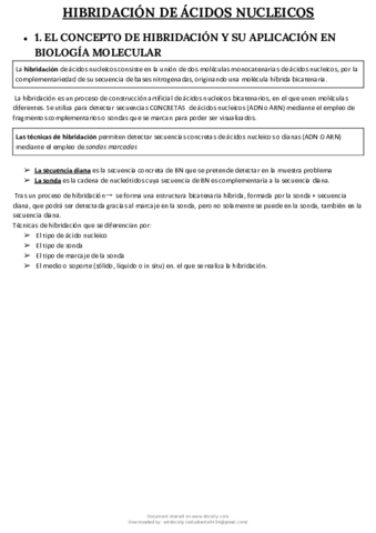 Hibridacion-acidos-nucleicos-y-tecnicas-de-hibridacion.pdf