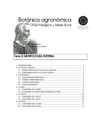 TEXTO-Tema-2-20-21-MORFOLGIA-INTERNA-1.pdf