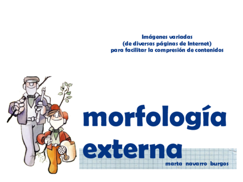 PPT-TEMA-3-MORF-HOJAS-ALUM-SESION-4-2021.pdf
