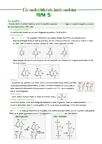 Els-nucleotids-i-els-acids-nucleics-Tema-5.pdf