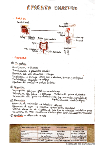 Aparato-digestivo.pdf