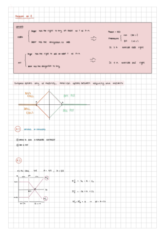 Exercises-PS8-solutions financial economics.pdf