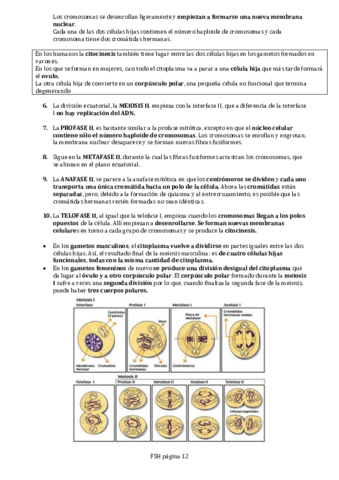 FISICA-MEDICA-II.pdf
