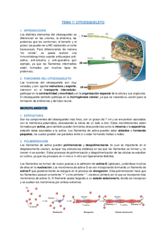 Apuntes-Tema-7-Biologia-Celular.pdf