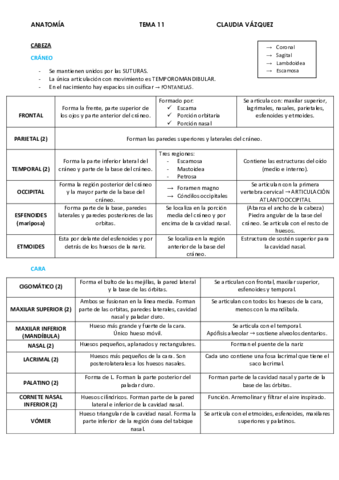 apuntes-tema-11.pdf