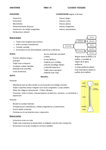 apuntes-tema-10.pdf