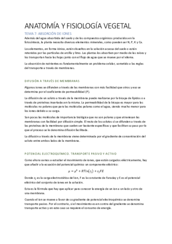 AFV T7.pdf