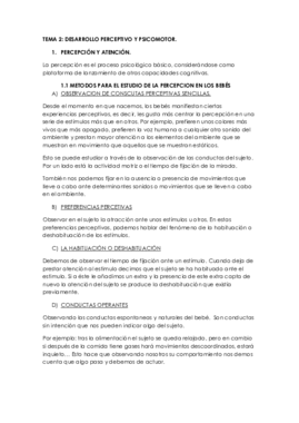 TEMA 2 RESUMEN.pdf