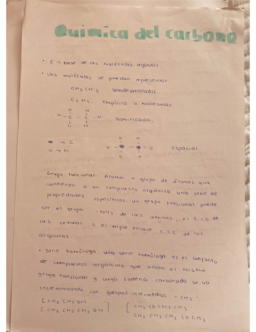 Quimica-del-Carbono.pdf