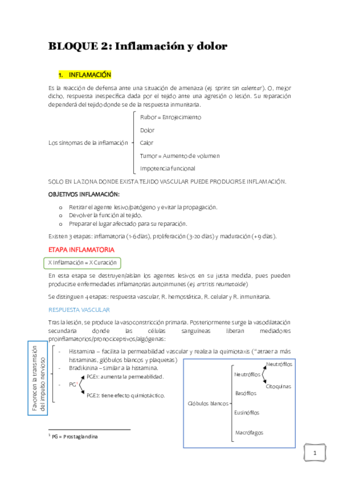 B2-Inflamacion-y-Dolor.pdf