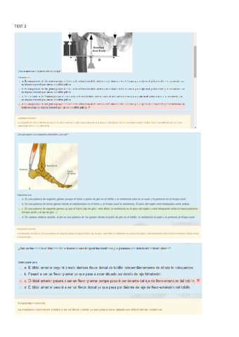 TEST-ONLINE-BIOMECANICA.pdf