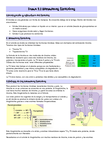 Tema-9.pdf