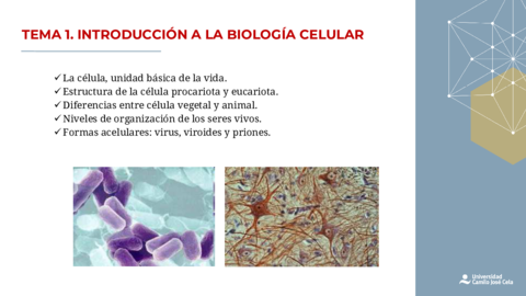 Tema-1-HISTOLOGIA.pdf