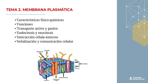 Tema-2-HISTOLOGIA.pdf