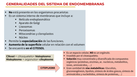 Tema-3-HISTOLOGIA.pdf