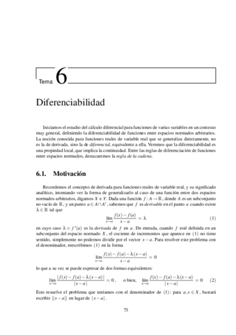 6-Diferenciables.pdf