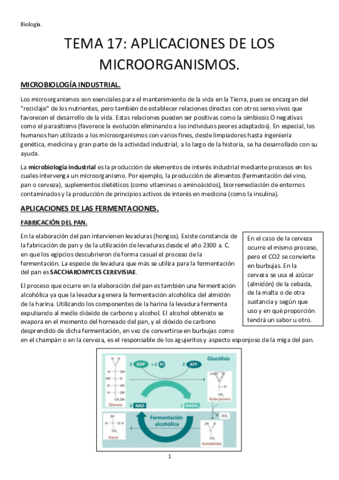 TEMA-17-APLICACIONES-DE-LOS-MICROORGANISMOS.pdf