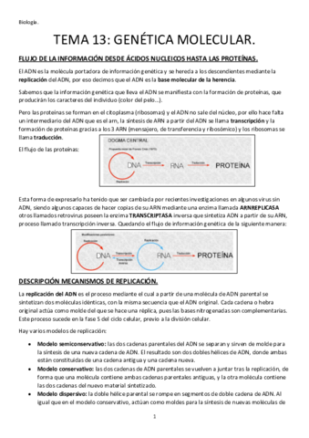 TEMA-13-GENETICA-MOLECULAR.pdf