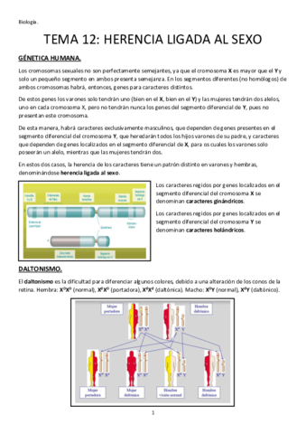 TEMA-12-HERENCIA-LIGADA-AL-SEXO.pdf
