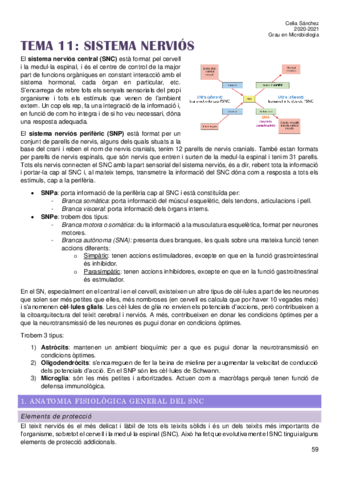 Tema-11.pdf