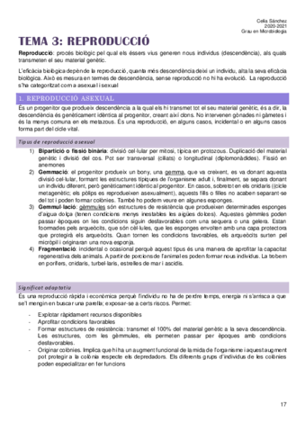 Tema-3.pdf