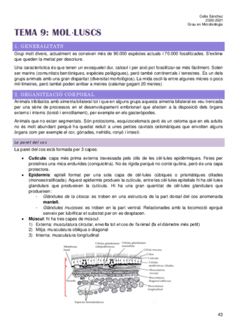 Tema-9.pdf