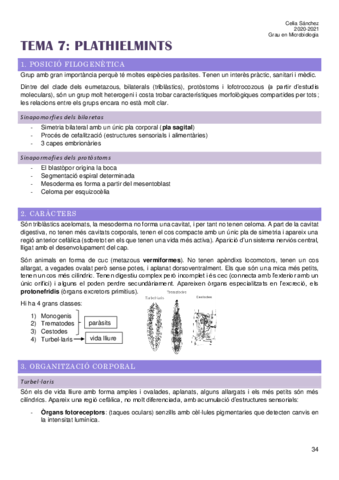 Tema-7.pdf