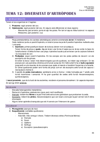 Tema-12.pdf