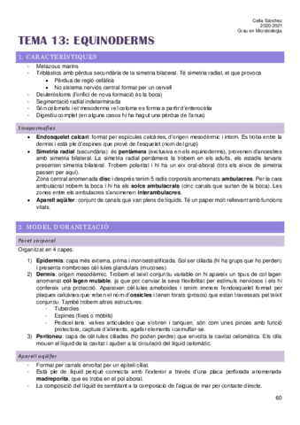 Tema-13.pdf