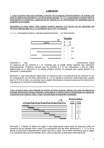 Ejercicio-y-test-Parcial-1.pdf