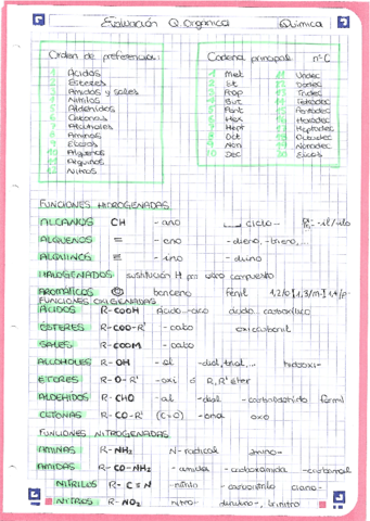 Apuntes-QUIMORGANICA.pdf