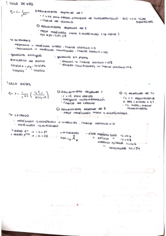 Ciclos.pdf