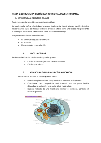 TEMA-1-RESUMEN-TBE-3.pdf