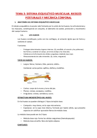 TBE-T3-sistema-esqueletico-muscular.pdf