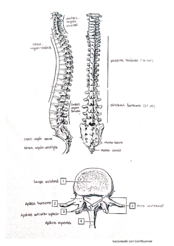 Ejercicios-Practica-1.pdf