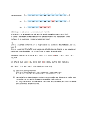 Ejercicio-e7-.pdf