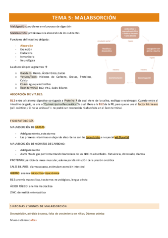 TEMA-5-malabsorcion.pdf