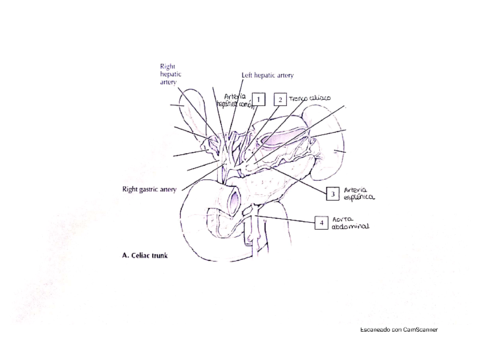 Ejercicios-Practicas-5-6.pdf