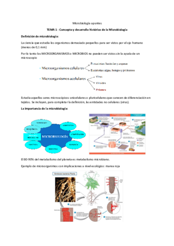 microbiologia.pdf