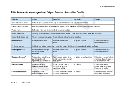 Tabla-musculos-miembro-pelviano.pdf