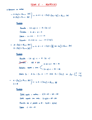 Algebra-T5-Matrices.pdf