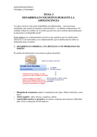 TEMA-3-desarrollo-copia.pdf
