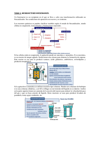 TEMA-5-Biorreactores.pdf