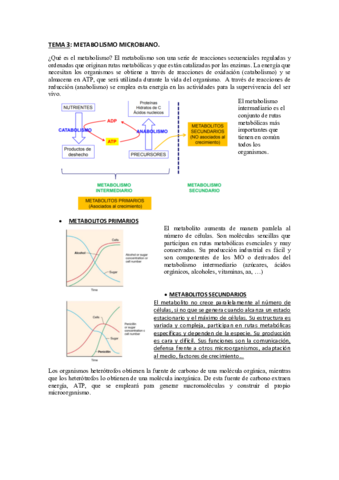 TEMA-3-Metabolismo-microbiano.pdf